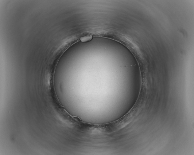 X0000110940115200906261308