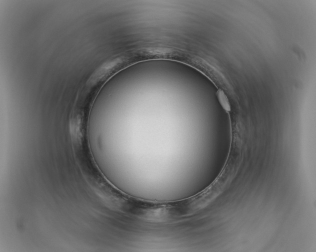 X0000110940116200906261308