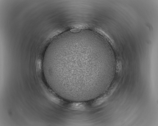 X0000110940117200906261308