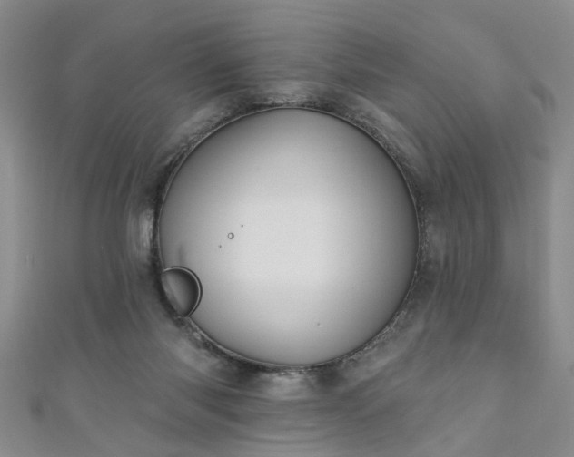 X0000110940118200906261308