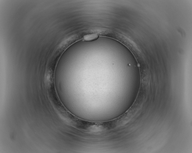 X0000110940119200906261308