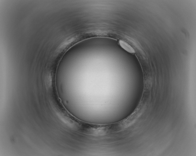 X0000110940120200906261308