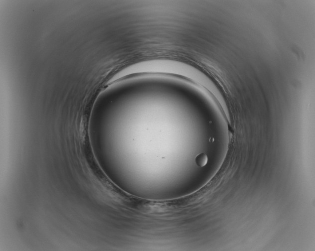 X0000110940121200906261308