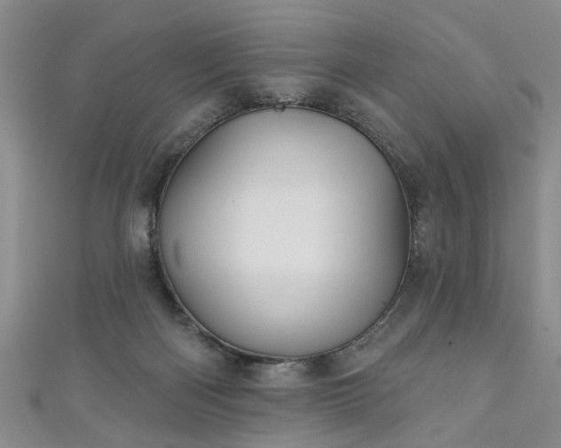 X0000110940122200906261308