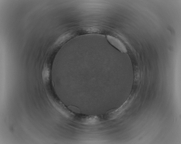 X0000110940124200906261308