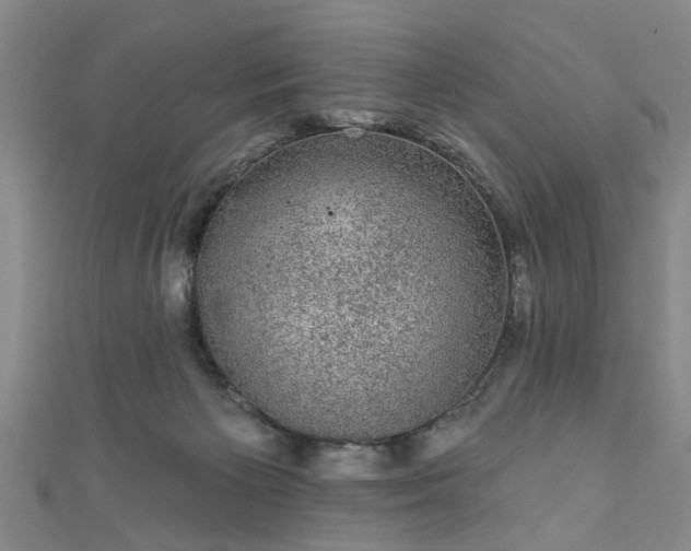 X0000110940125200906261308