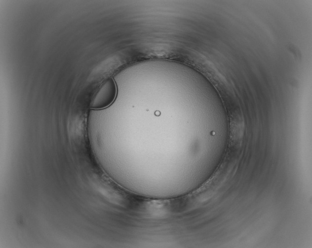 X0000110940126200906261308