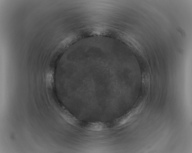 X0000110940127200906261308