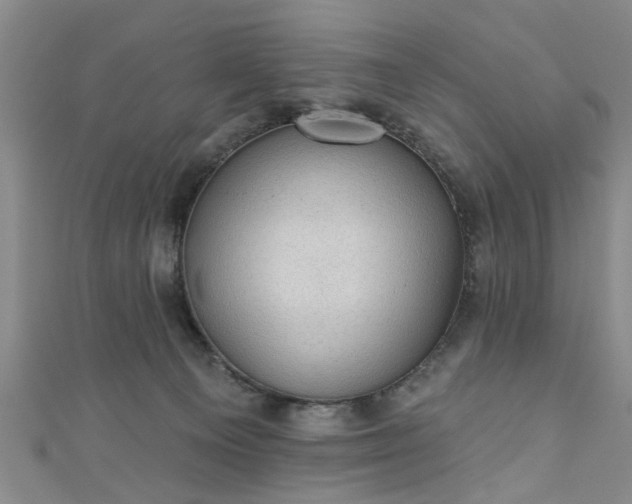 X0000110940129200906261308