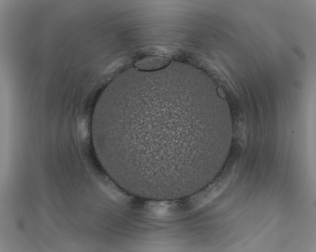 X0000110940131200906261308