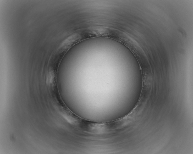 X0000110940132200906261308