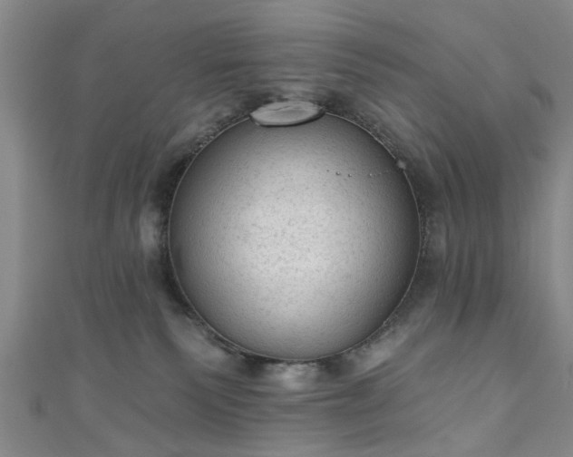 X0000110940135200906261308