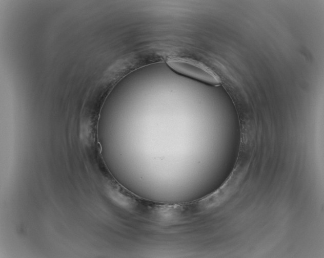 X0000110940136200906261308