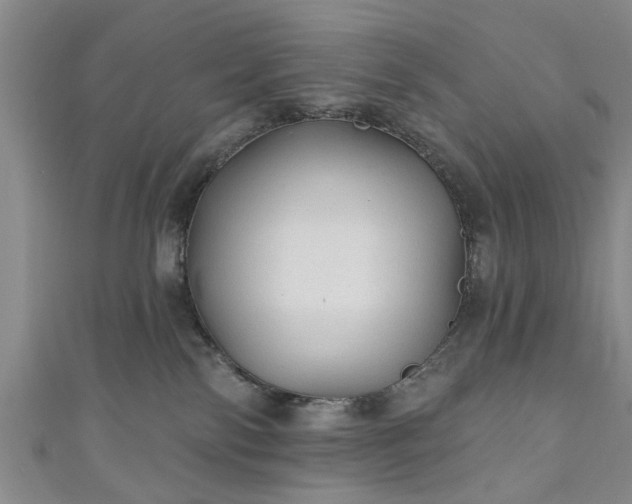 X0000110940138200906261308