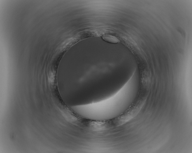 X0000110940139200906261308