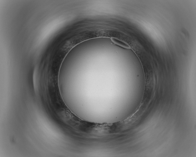 X0000110940140200906261308