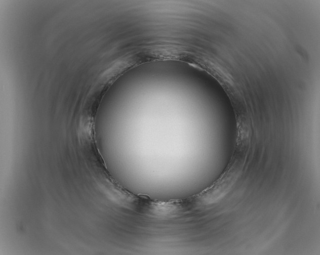 X0000110940141200906261308