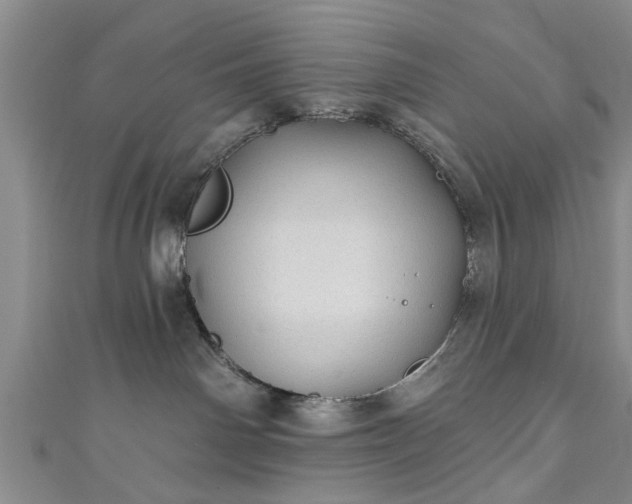 X0000110940142200906261308