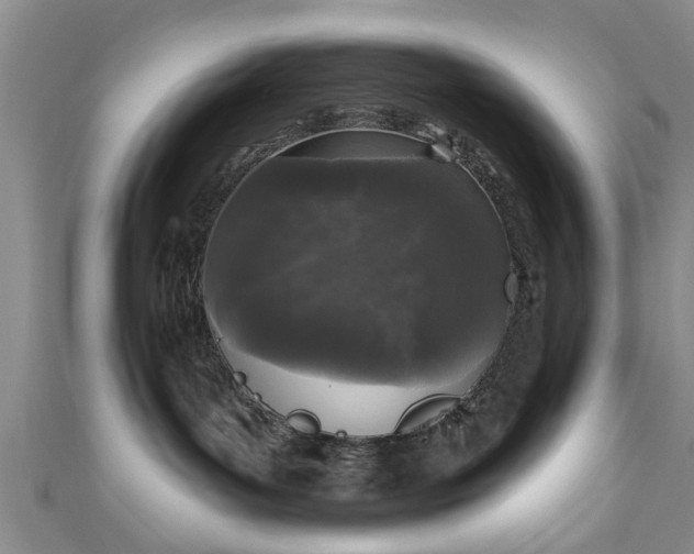 X0000110940143200906261308