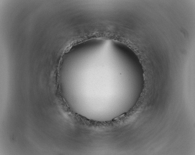 X0000110940144200906261308