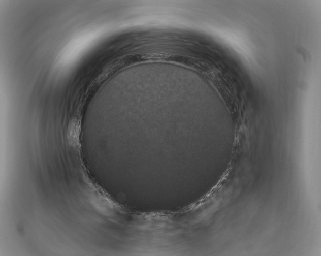 X0000110940146200906261308