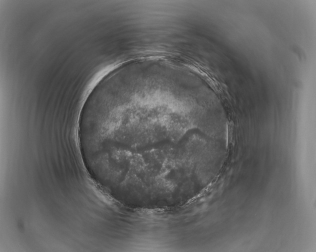 X0000110940147200906261308