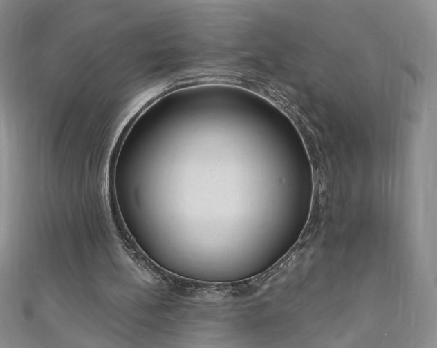 X0000110940148200906261308