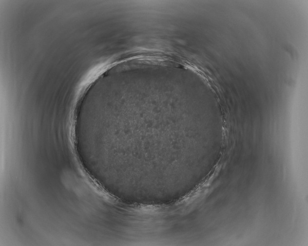 X0000110940149200906261308