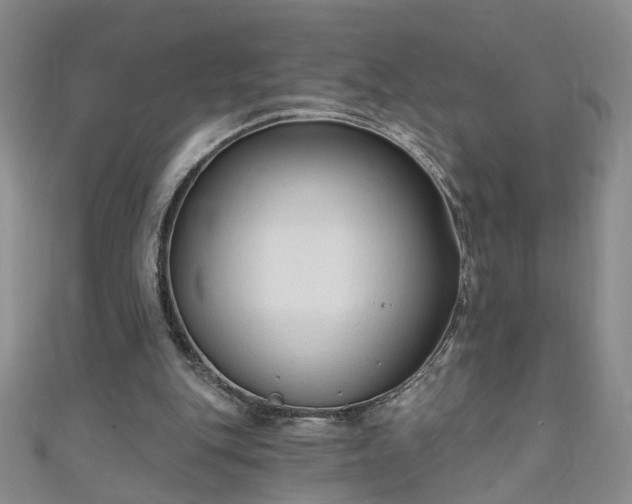 X0000110940151200906261308