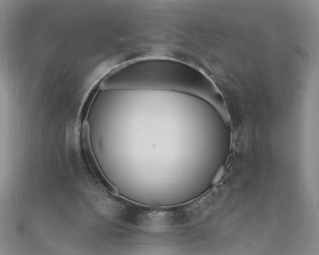 X0000110940152200906261308