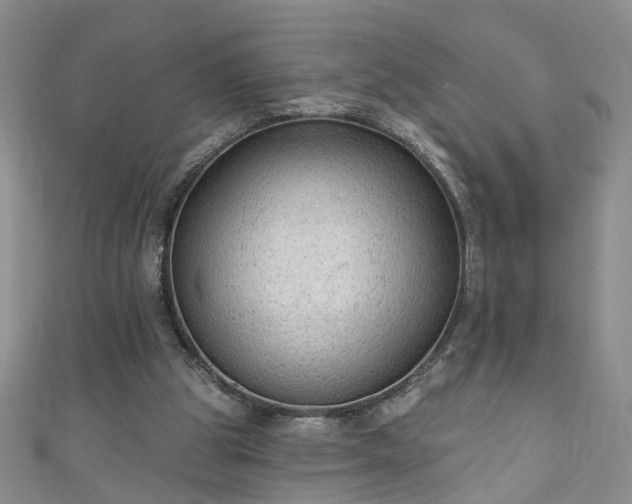 X0000110940153200906261308