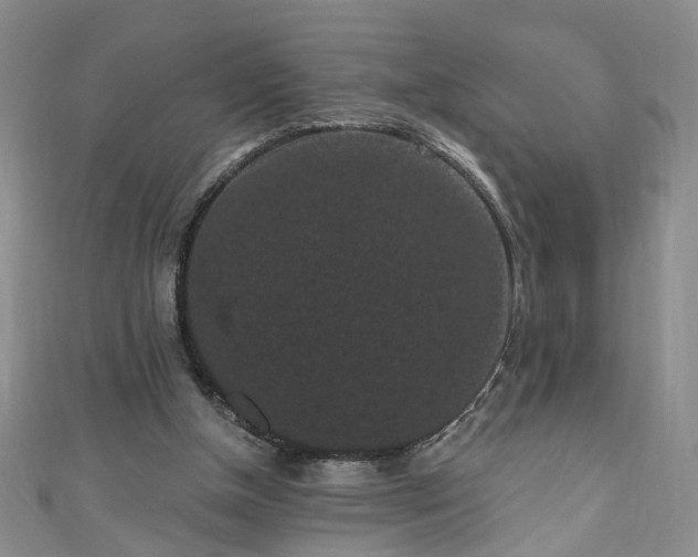 X0000110940154200906261308