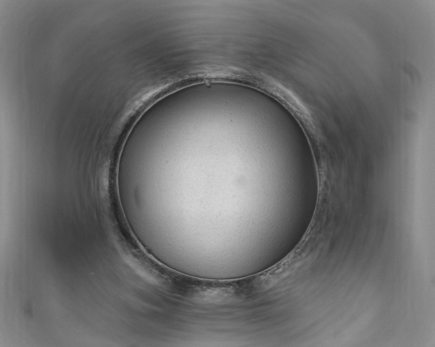 X0000110940155200906261308