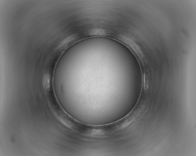 X0000110940157200906261308