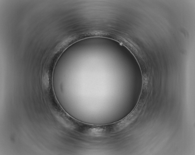 X0000110940158200906261308