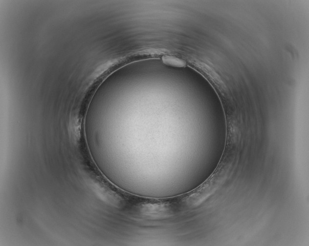 X0000110940160200906261308