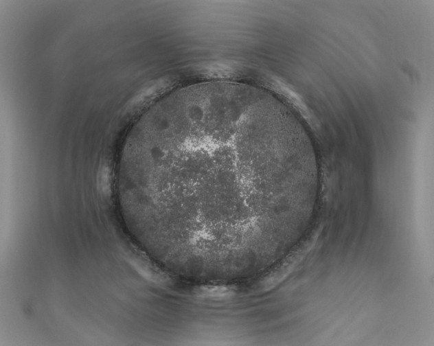 X0000110940161200906261308