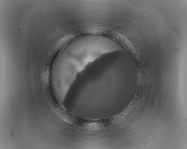 X0000110940163200906261308