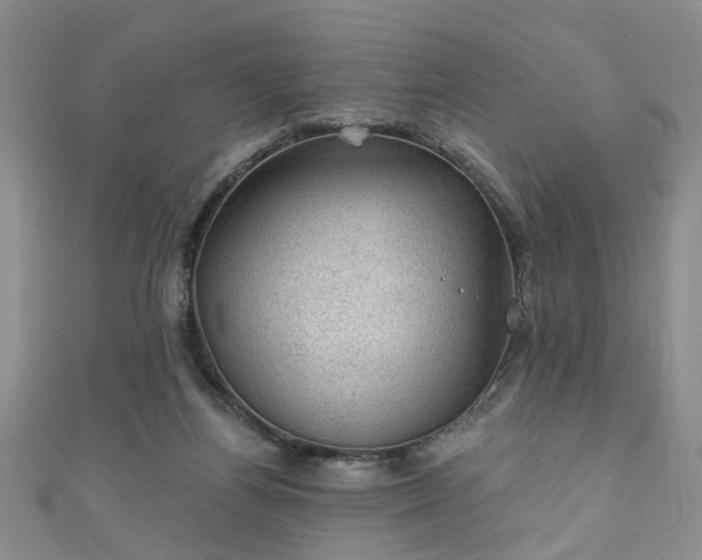 X0000110940164200906261308