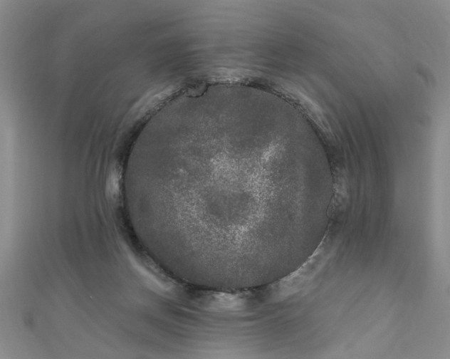 X0000110940166200906261308