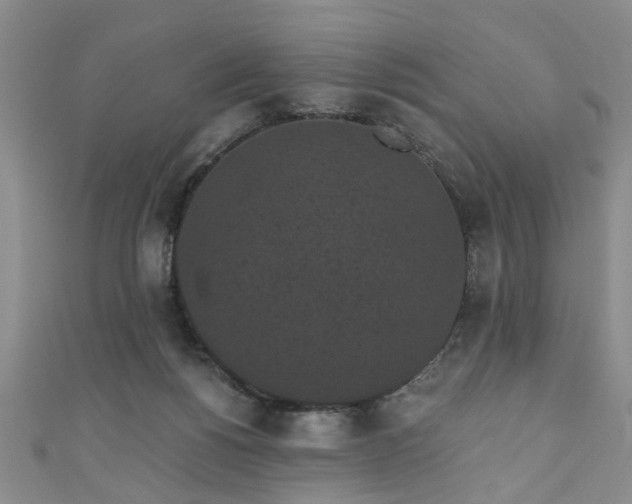 X0000110940168200906261308