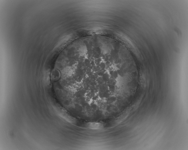 X0000110940169200906261308