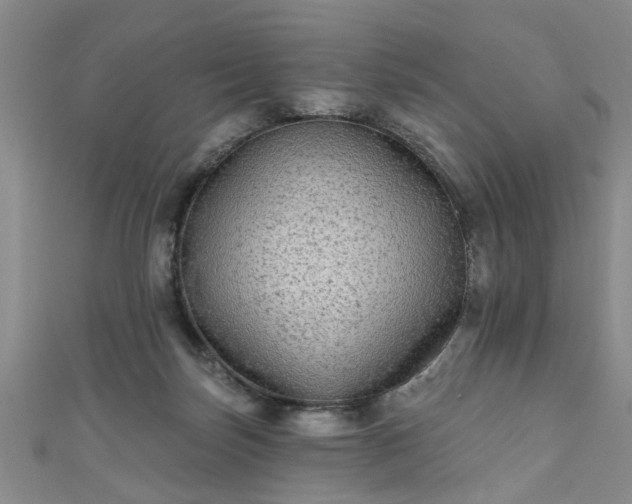 X0000110940171200906261308