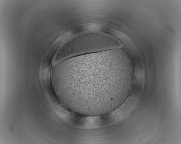 X0000110940172200906261308