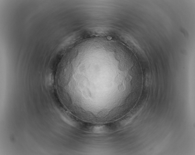 X0000110940173200906261308