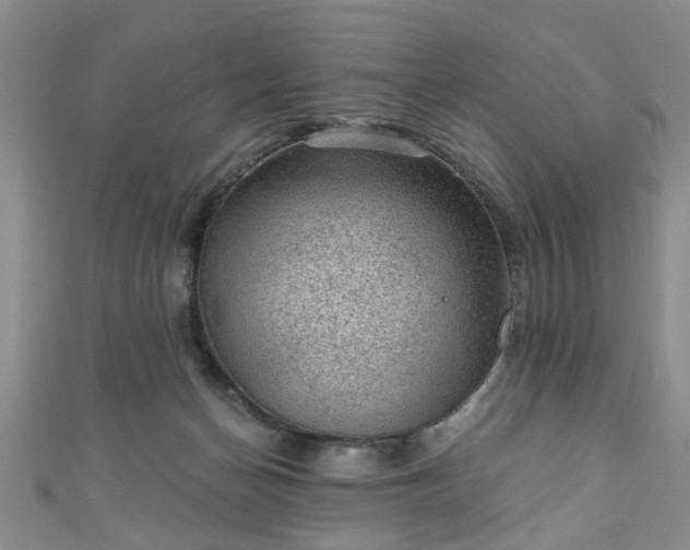 X0000110940174200906261308