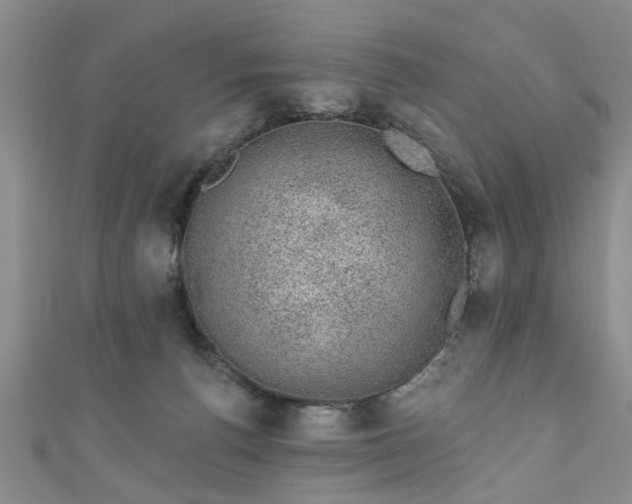 X0000110940176200906261308