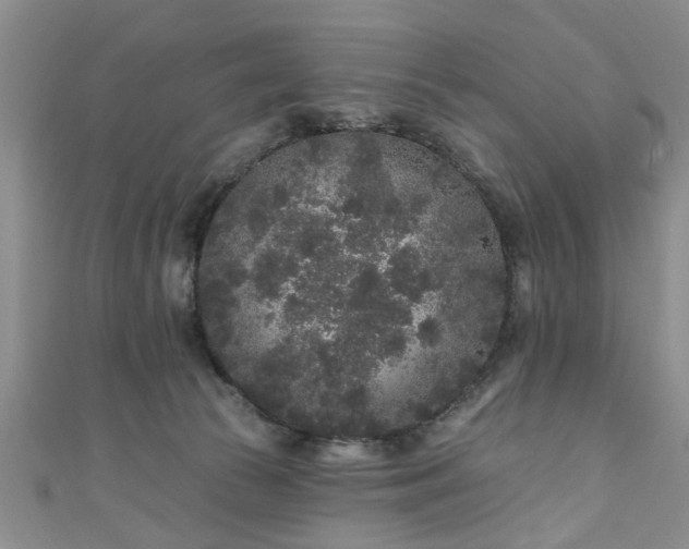 X0000110940177200906261308