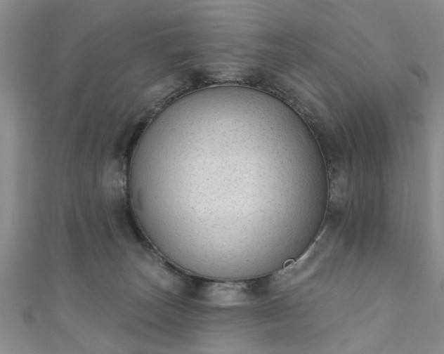 X0000110940179200906261308