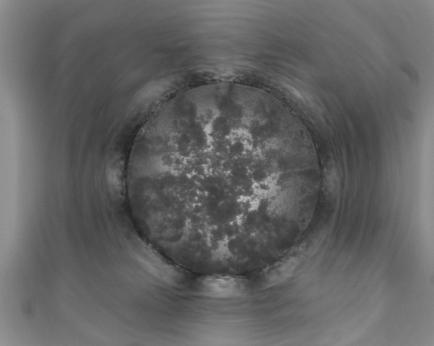 X0000110940181200906261308